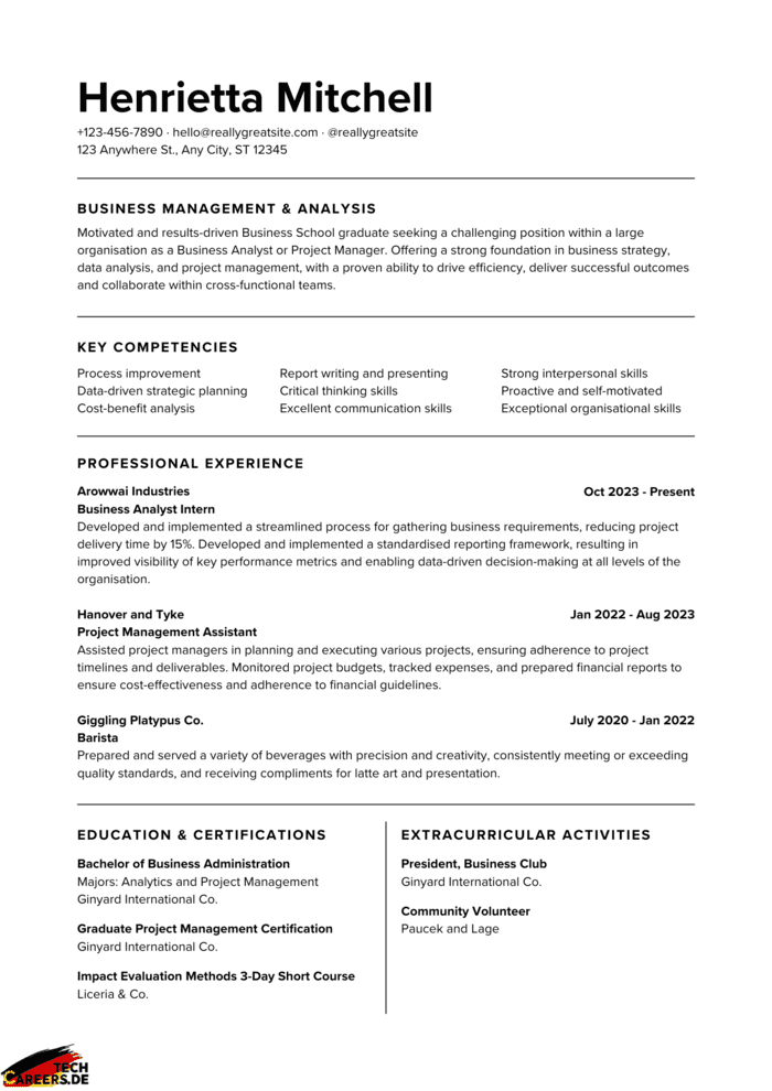 Top German CV 2024 : Format, Samples and Tips